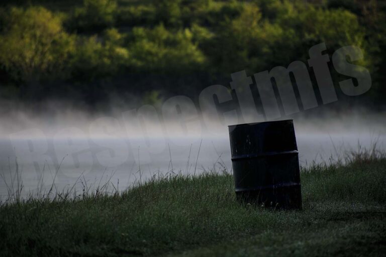 morning at the lake